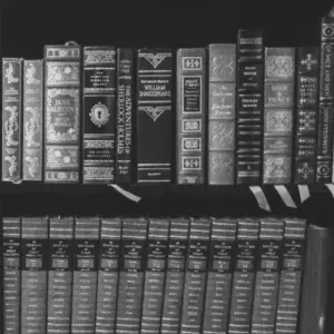 Library books symbolizing classical sociology and the foundations of modern social theory