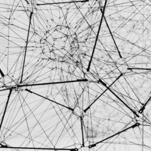 Abstract network of interconnected lines and nodes symbolizing the complexity and interrelation of sociological theories and social structures