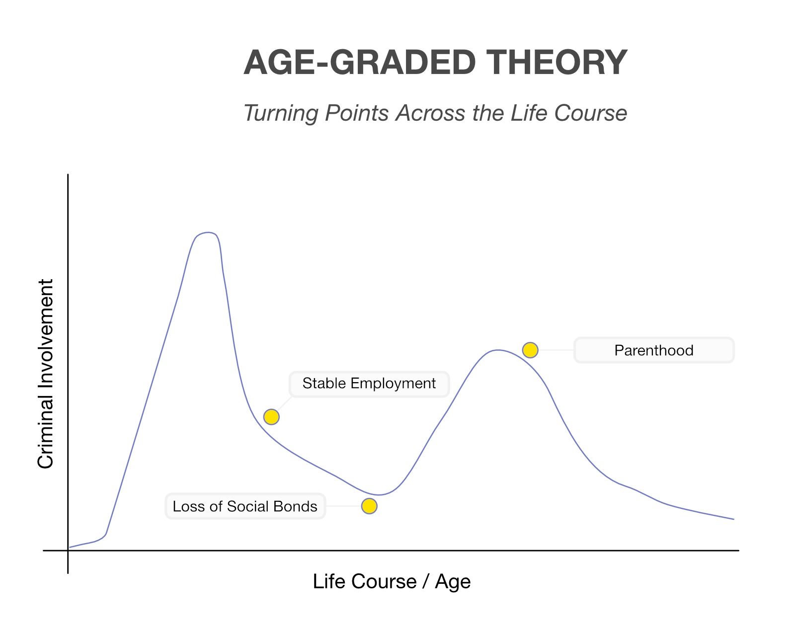 Age-Graded Theory diagram illustrating changing levels of criminal involvement across the life course. The curve shows a strong rise in delinquency during adolescence, a decline through stable employment, a renewed increase following loss of social bonds, and a later decline associated with parenthood and social stabilization.